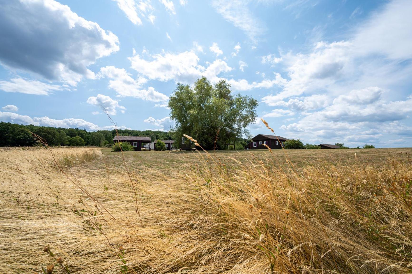 Camping Les Vosges Du Nord Oberbronn Exteriér fotografie